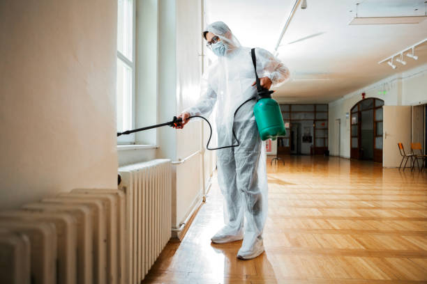 Best Real Estate Pest Inspections  in Proctor, VT